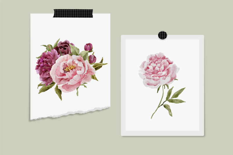 watercolor-peonies-clipart-spring-flower-elements