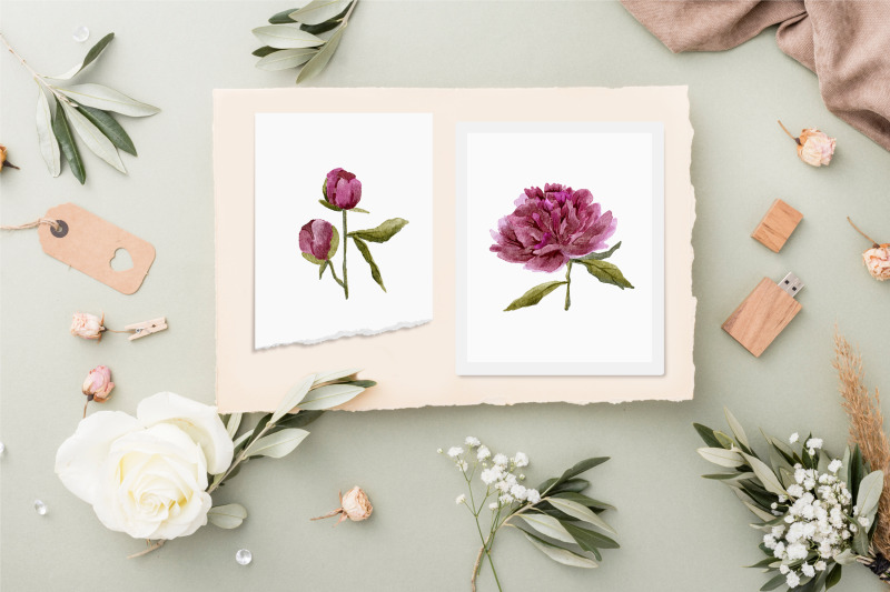 watercolor-peonies-clipart-spring-flower-elements
