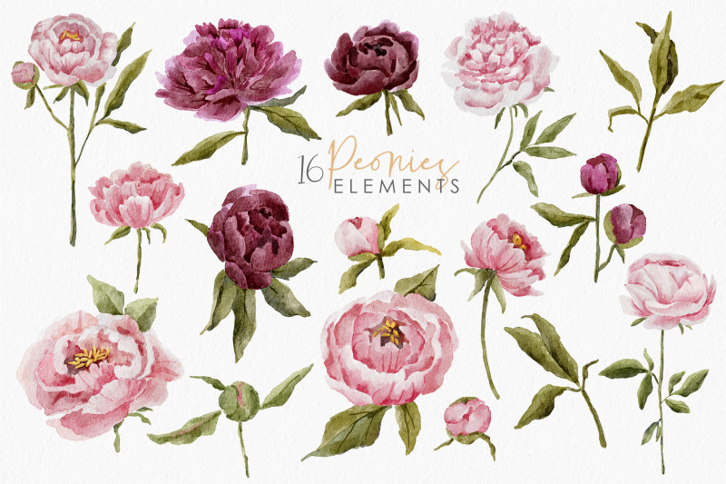 watercolor-peonies-clipart-spring-flower-elements