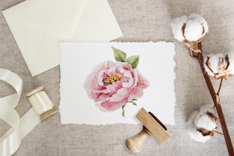watercolor-peonies-clipart-spring-flower-elements