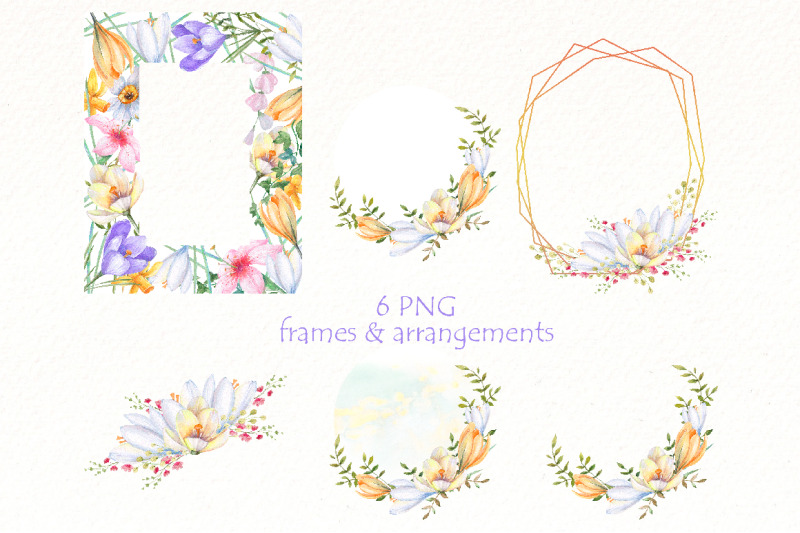 spring-flowers-watercolor-clipart-bundle-crocus-frame-png