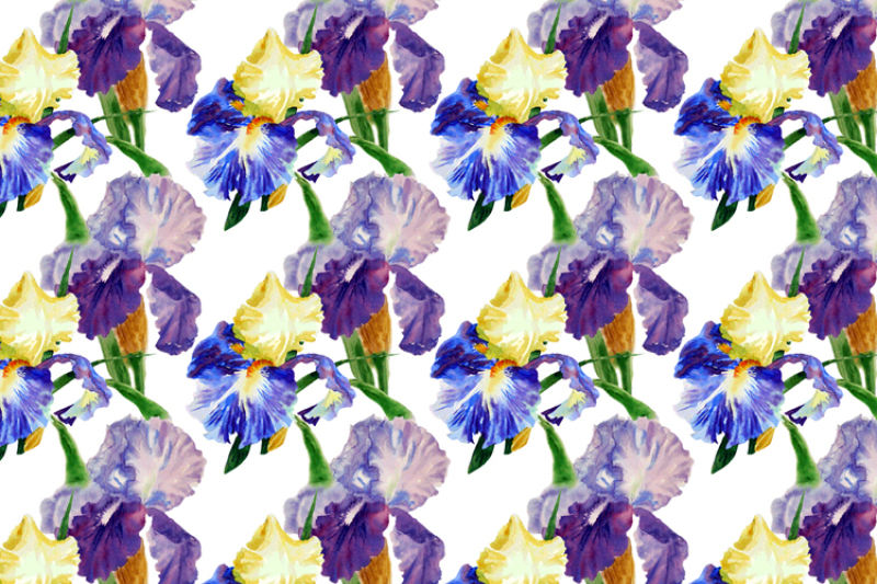 patters-with-watercolor-irises