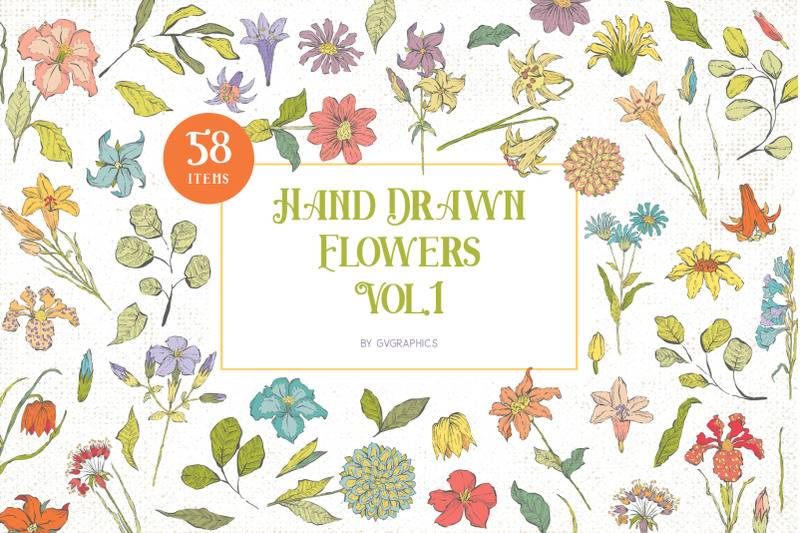 hand-drawn-flowers-illustrations-vol-1