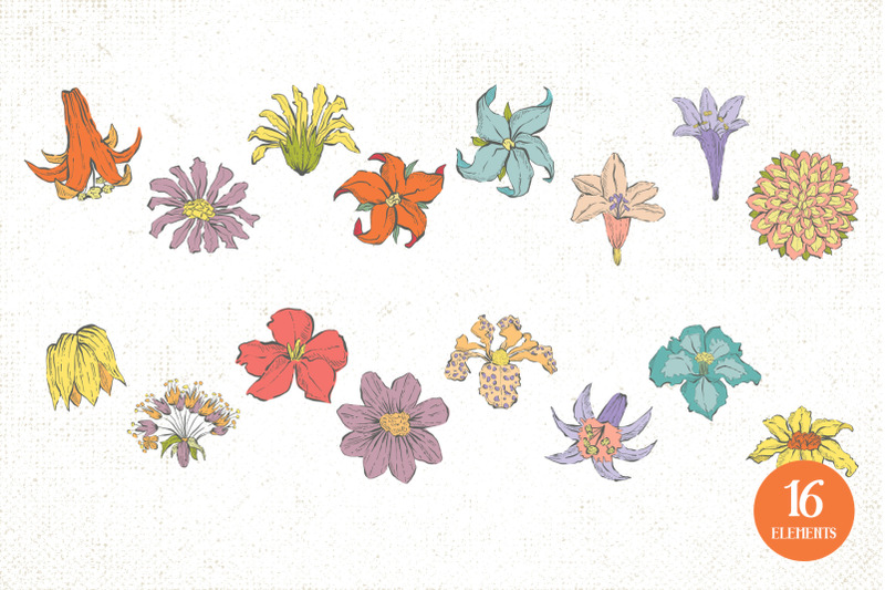 hand-drawn-flowers-illustrations-vol-1