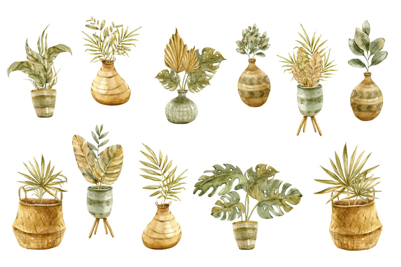 watercolor-potted-boho-plants-12-png