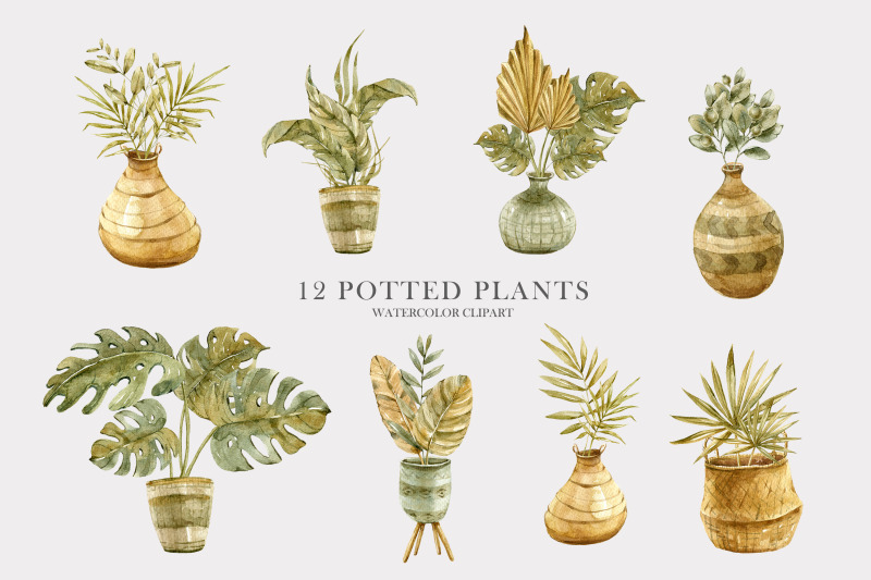 watercolor-potted-boho-plants-12-png