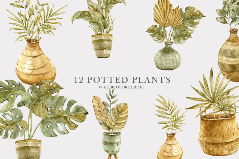 watercolor-potted-boho-plants-12-png