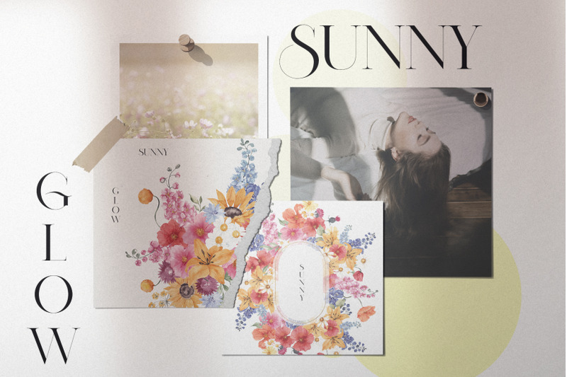 sunny-glow-wildflower-collection