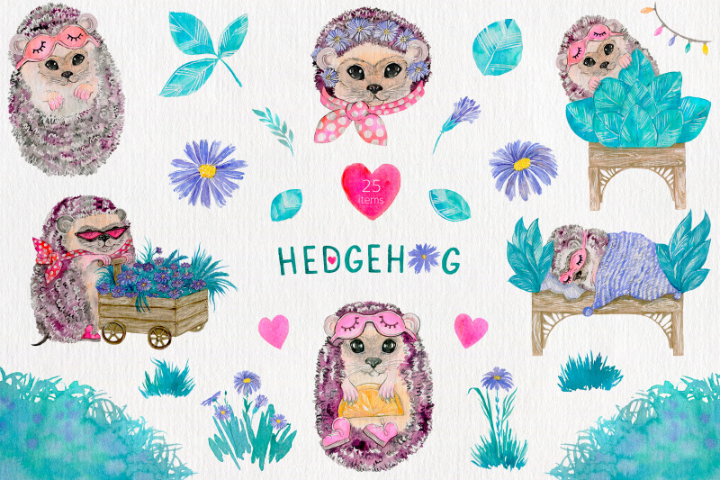 hedgehogs-watercolor-collection