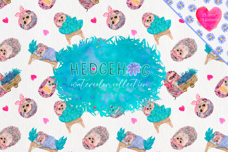 hedgehogs-watercolor-collection