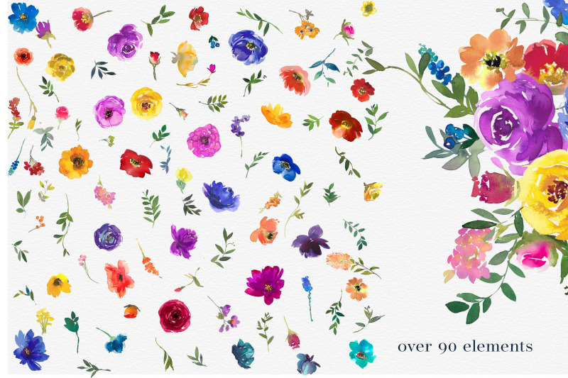 watercolor-bold-colors-floral-collection