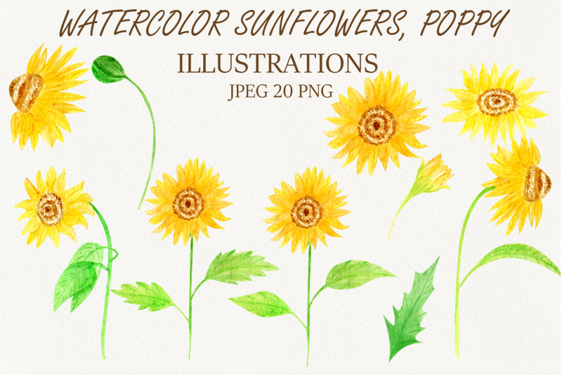watercolor-set-clipart-illustration-sunflowers-poppy