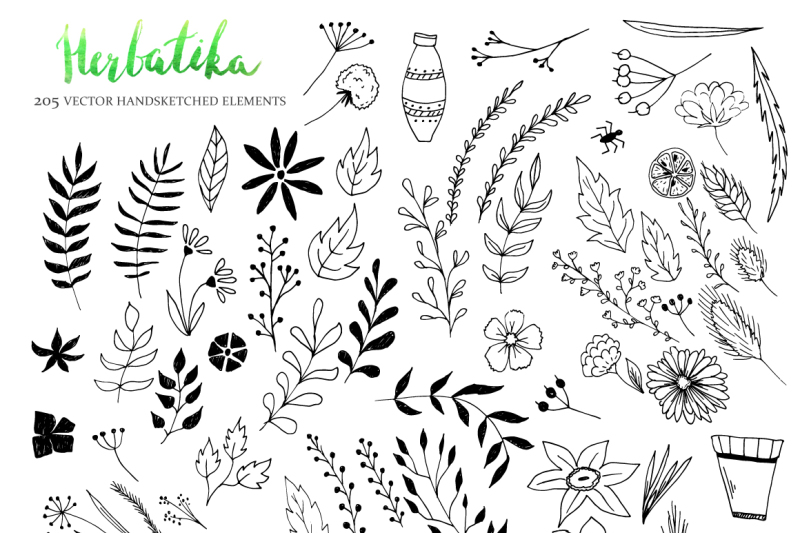 herbatika-vector-sketched-set