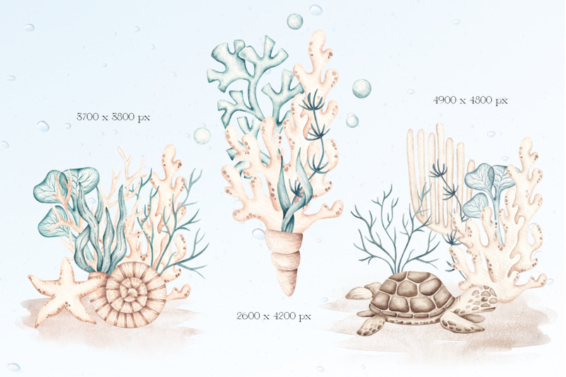 watercolor-set-quot-underwater-life-quot