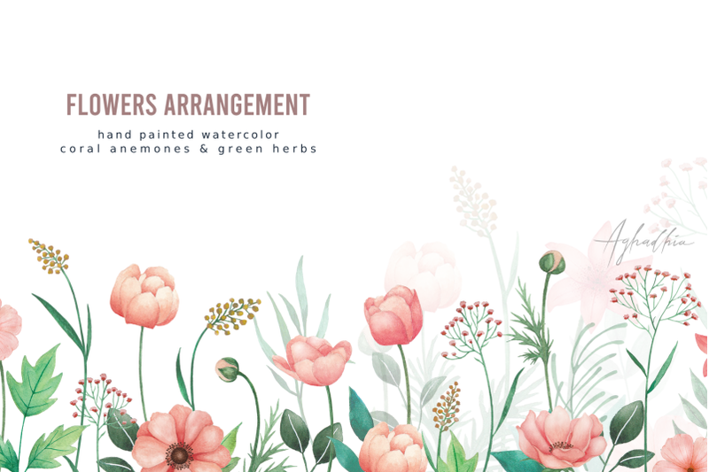 coral-anemones-and-green-herbs-watercolor-elements