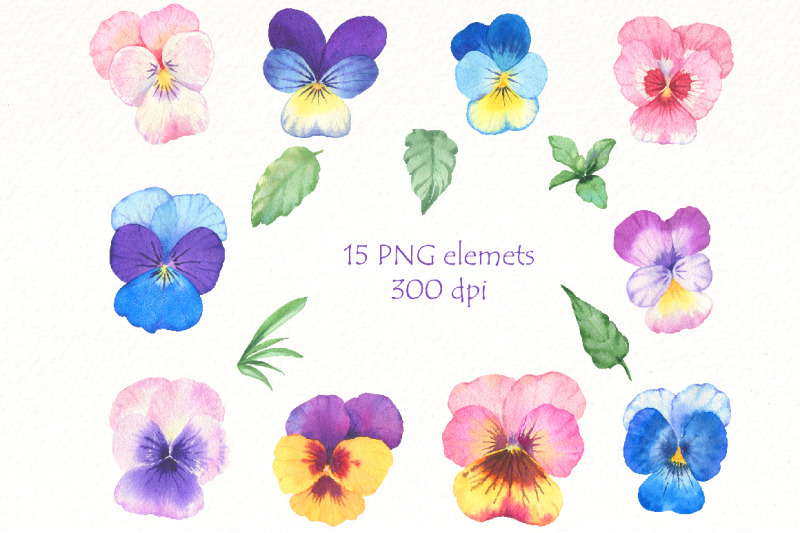 watercolor-pansy-clipart-pansies-flowers-png-clip-art