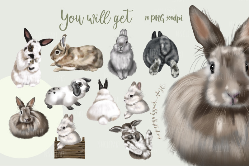 watercolor-rabbit-clipart-bunny-illustration-download