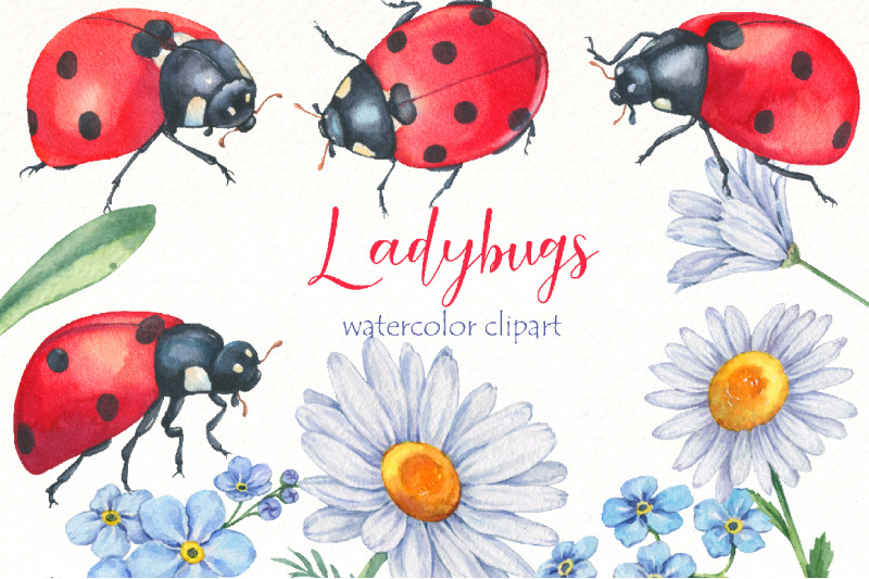 watercolor-ladybug-clipart-bundle-cute-insect-png-animal-png