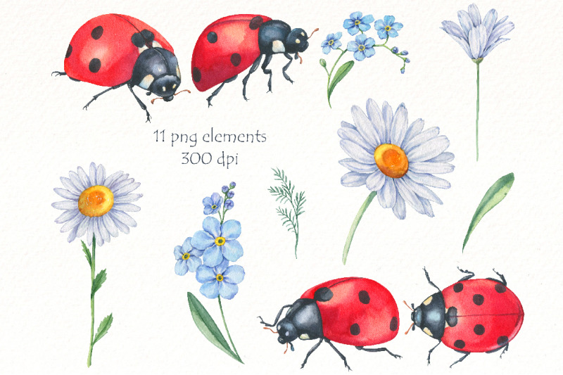 watercolor-ladybug-clipart-bundle-cute-insect-png-animal-png