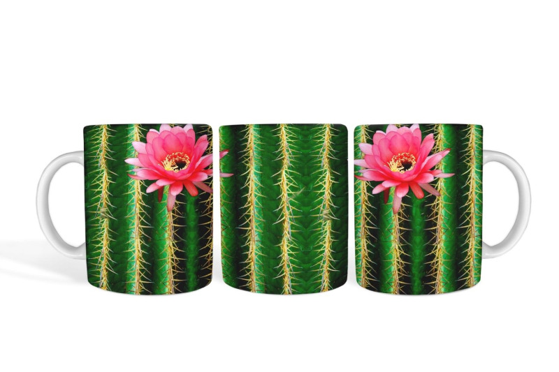 cactus-mug-sublimation