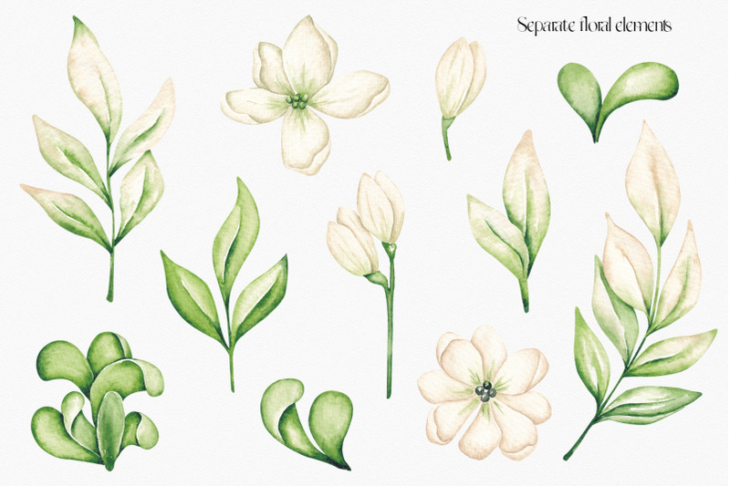 quot-floral-designs-quot-watercolor-set
