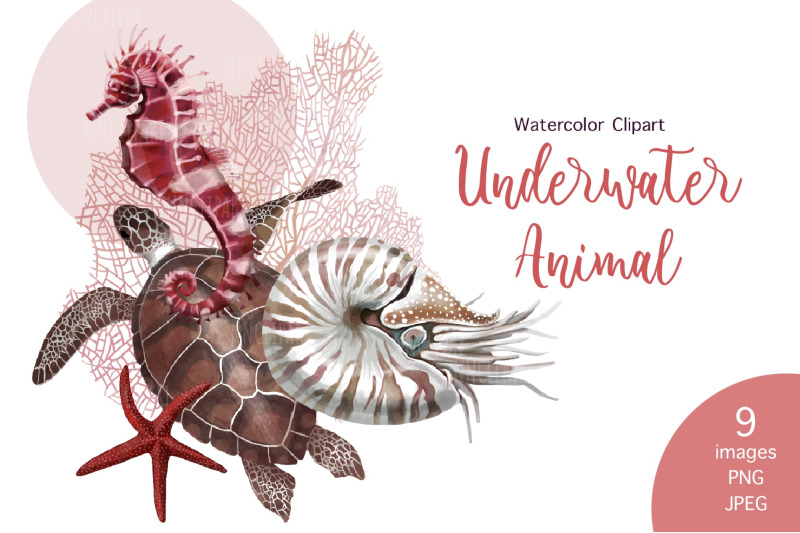 watercolor-underwater-animals-clipart-set