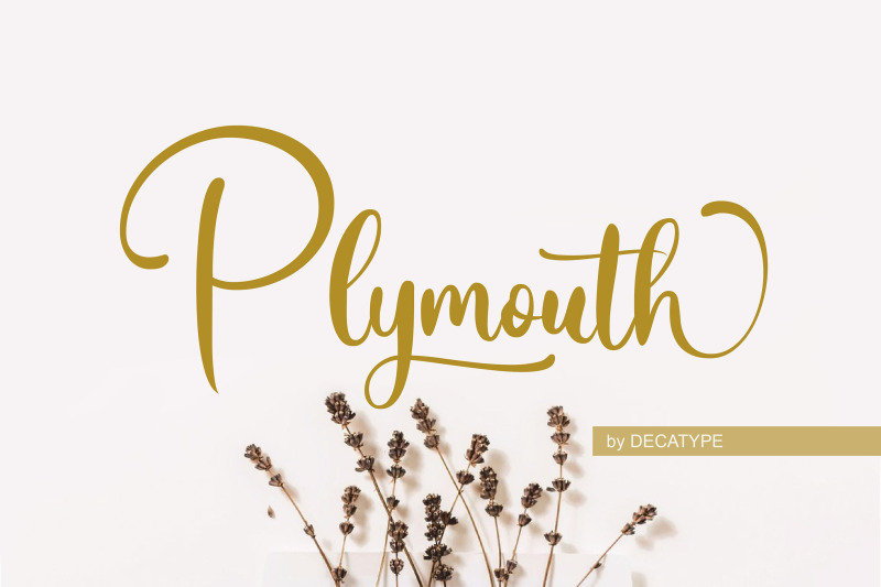 plymouth