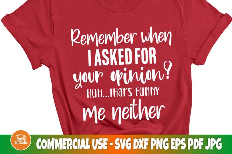 remember-when-i-asked-for-your-opinion-svg-funny-shirt-svg-cricut