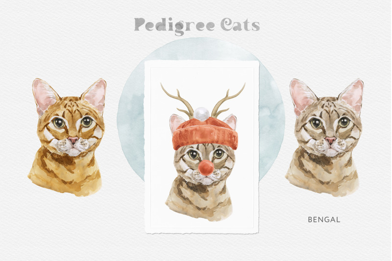 feline-nature-cat-breed-portrait-creator-watercolor-clipart