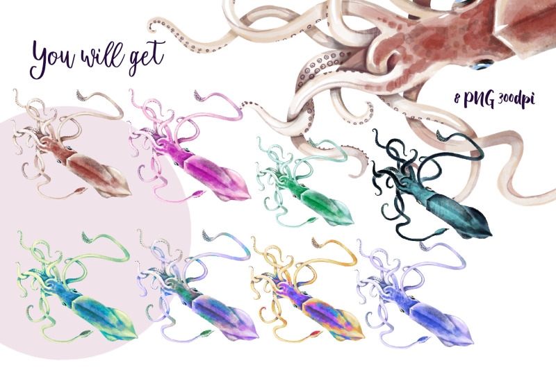 watercolor-squid-clipart-squid-download