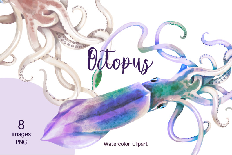 watercolor-squid-clipart-squid-download