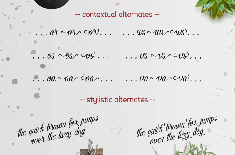pamega-script-modern-caligraphy