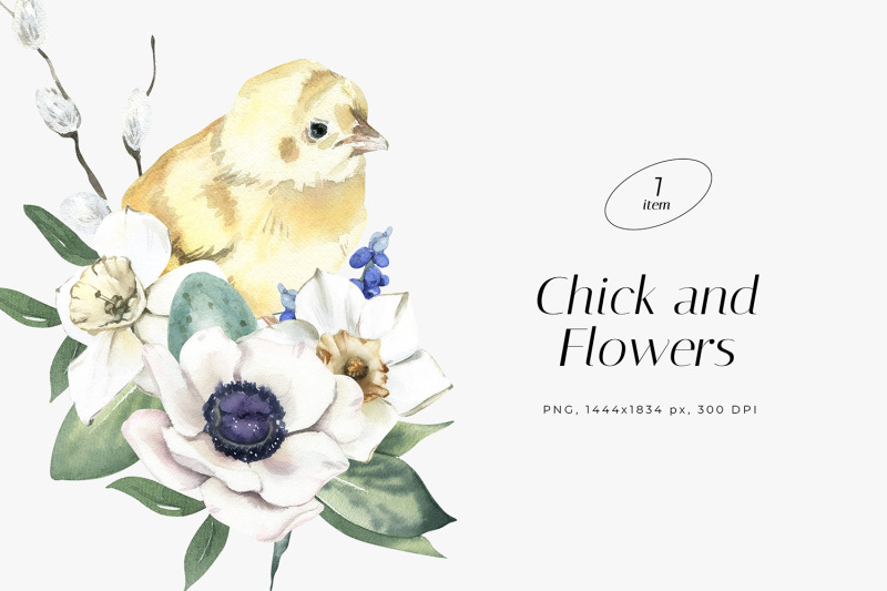 watercolor-illustration-with-chick-daffodil-and-anemone