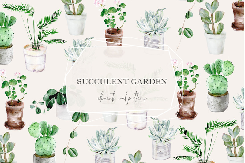 succulents-clipart