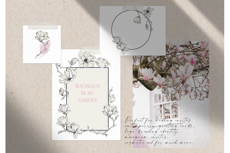 magnolia-vector-graphic-collection