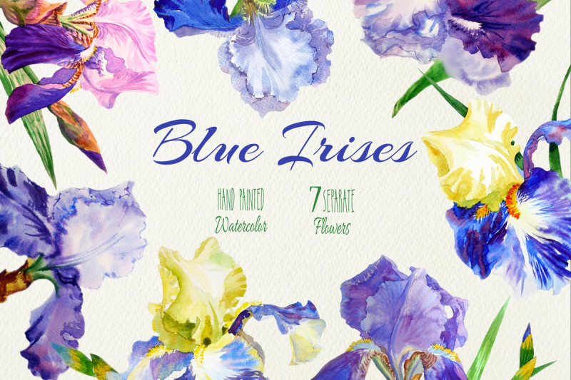blue-irises-watercolor-clip-art