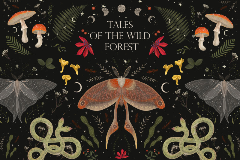 tales-of-the-wild-forest