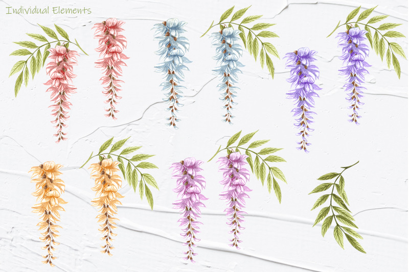 wisteria-watercolor-clipart