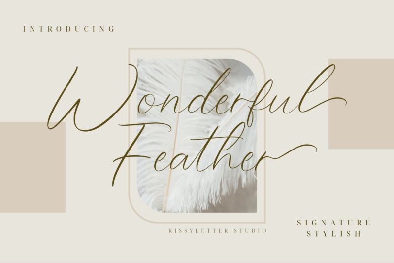 wonderful-feather-stylish-signature-font