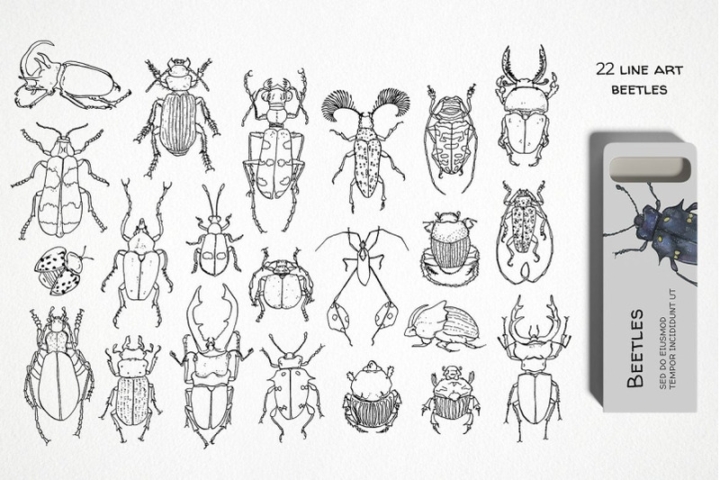 watercolor-bug-clipart-insect-illustration-beetle-seamless-pattern