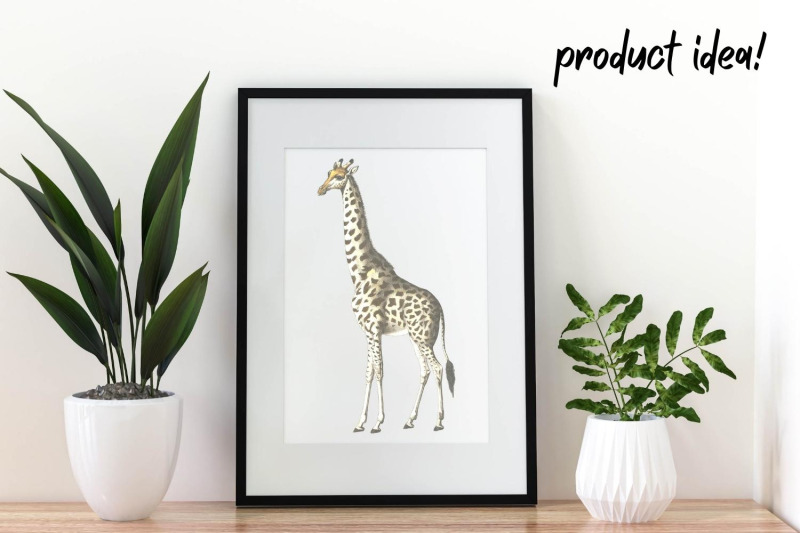 vintage-giraffe-illustration