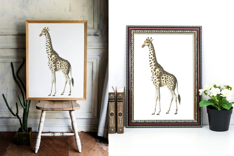 vintage-giraffe-illustration