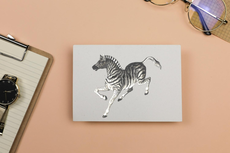 vintage-zebra-illustration