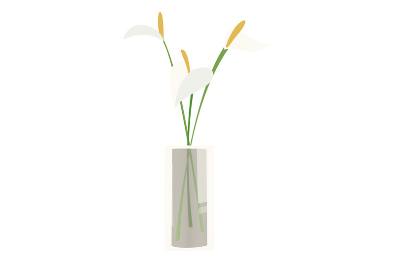 white-flowers-in-vase-peace-lily-green-branches