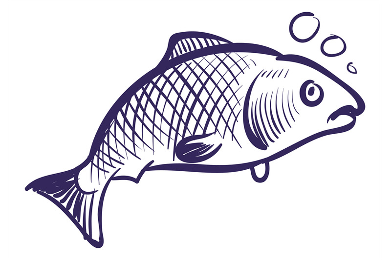 fish-in-water-sea-animal-in-sketch-style