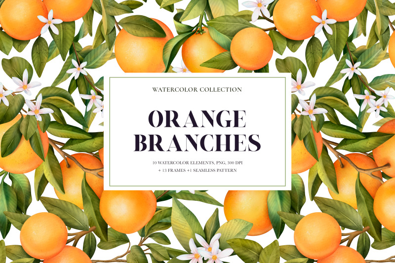 orange-branches-watercolor-collection-clipart-frames-and-pattern-p