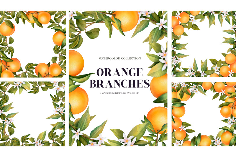 orange-branches-watercolor-collection-clipart-frames-and-pattern-p