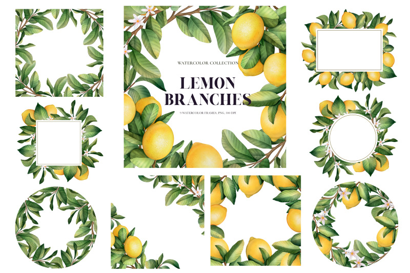 lemon-branches-watercolor-collection-clipart-frames-and-pattern