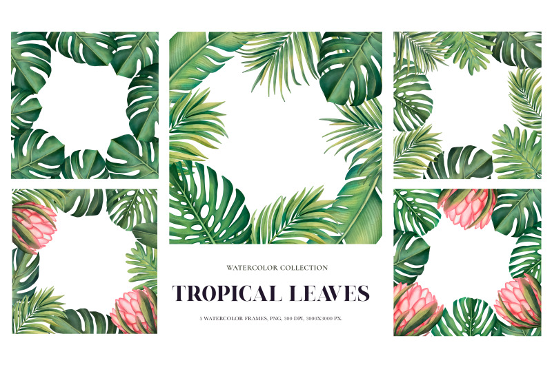 tropical-leaves-watercolor-collection-clipart-and-frames