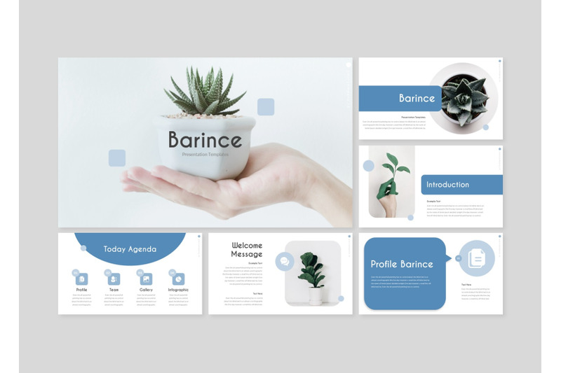 barince-google-slide-template